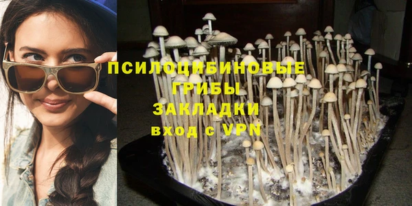 МДПВ Алзамай