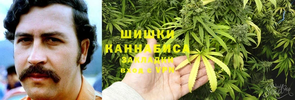 МДПВ Алзамай