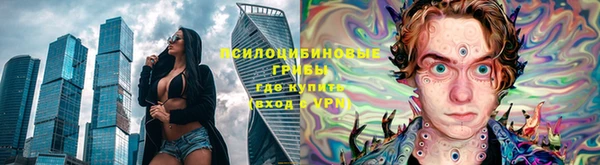 PSILOCYBIN Алексеевка