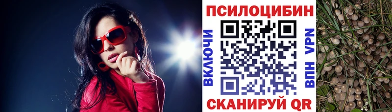 Купить закладки  Крым  Псилоцибиновые грибы MAGIC MUSHROOMS 